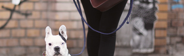 My Camera Bag | ONA Brooklyn My Camera Bag | ONA Brooklyn