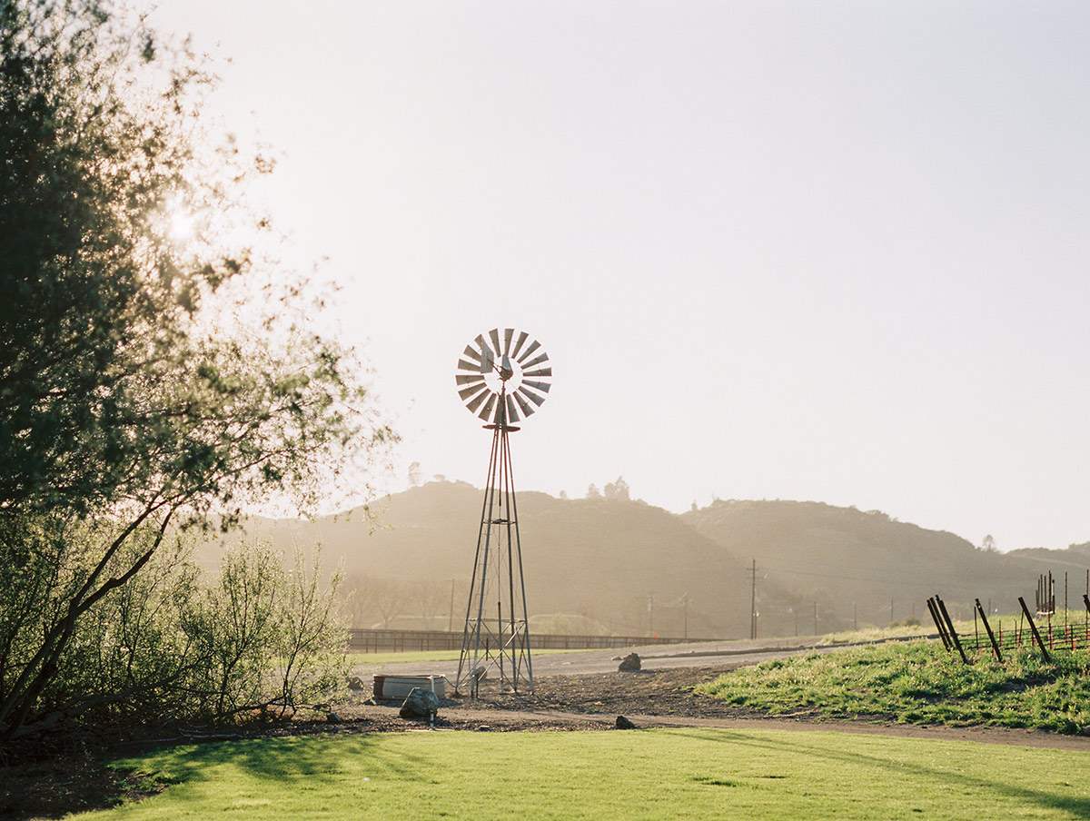 Greengate Ranch and Vineyard San Luis Obispo Engagement