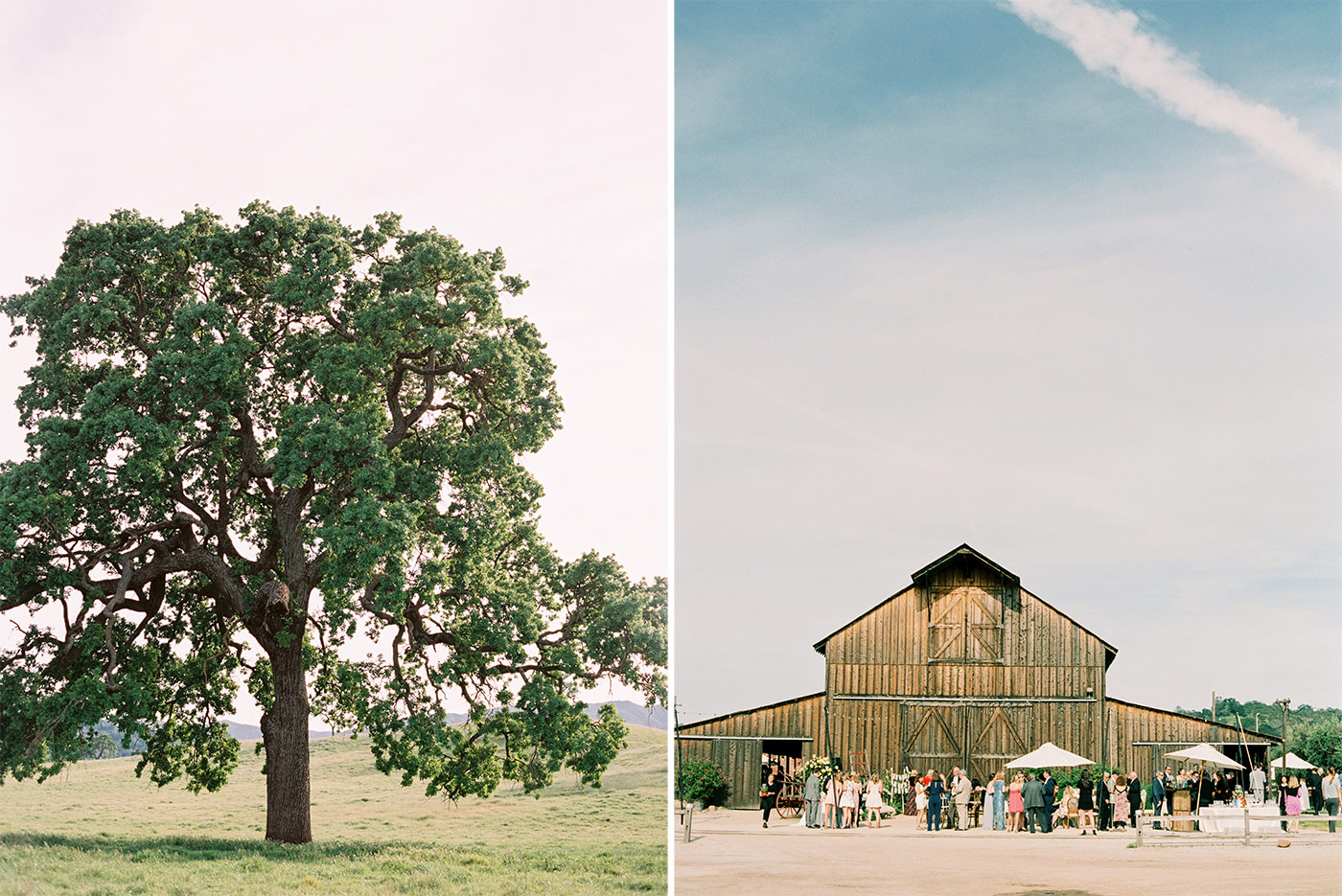 Elegant Fine Art Santa Margarita Rnach Wedding Photographed by Ashley Ludaescher