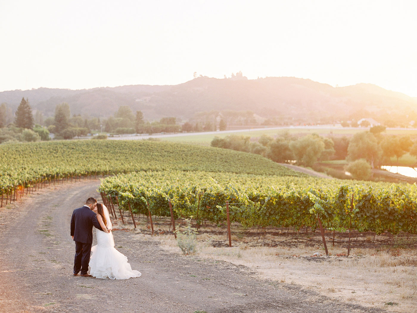 Mexico Inspired Greengate Ranch Vineyard Edna Valley Wedding Photographer San Luis Obispo