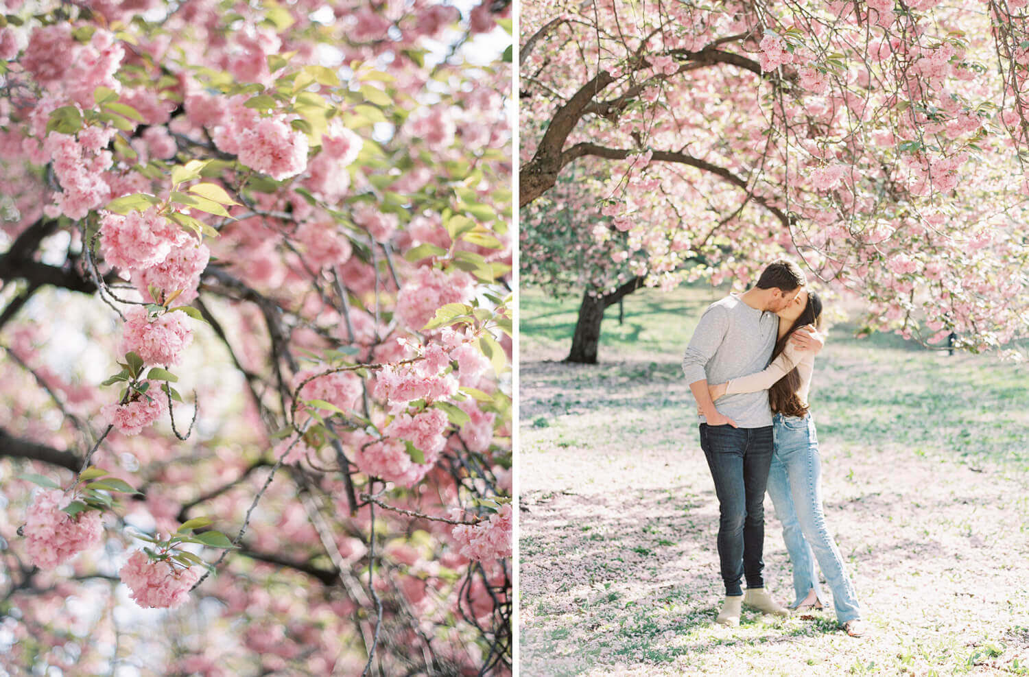 Central Park New York City Engagement Session Ashley Ludaescher