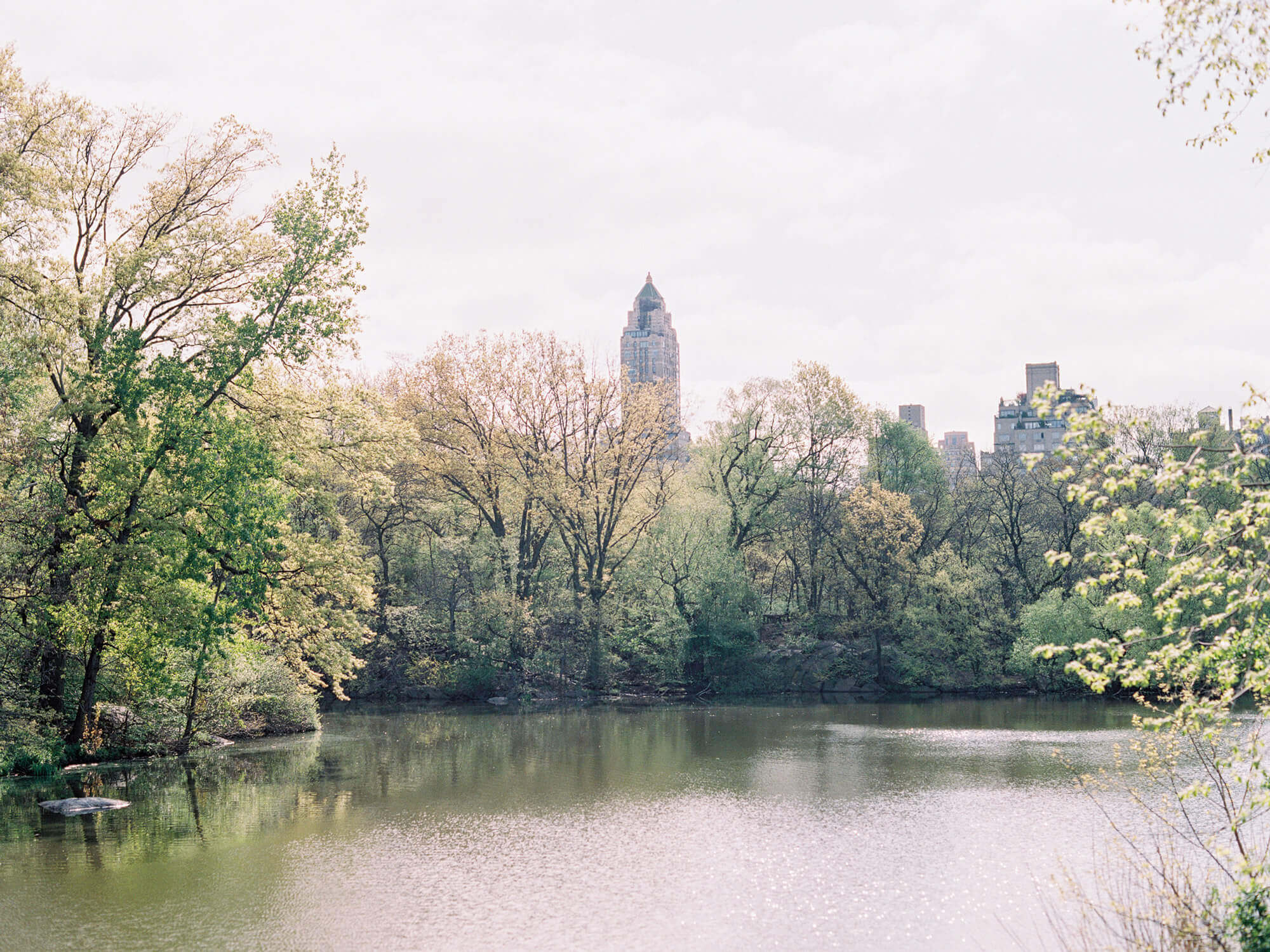 Central Park New York City Engagement Session Ashley Ludaescher