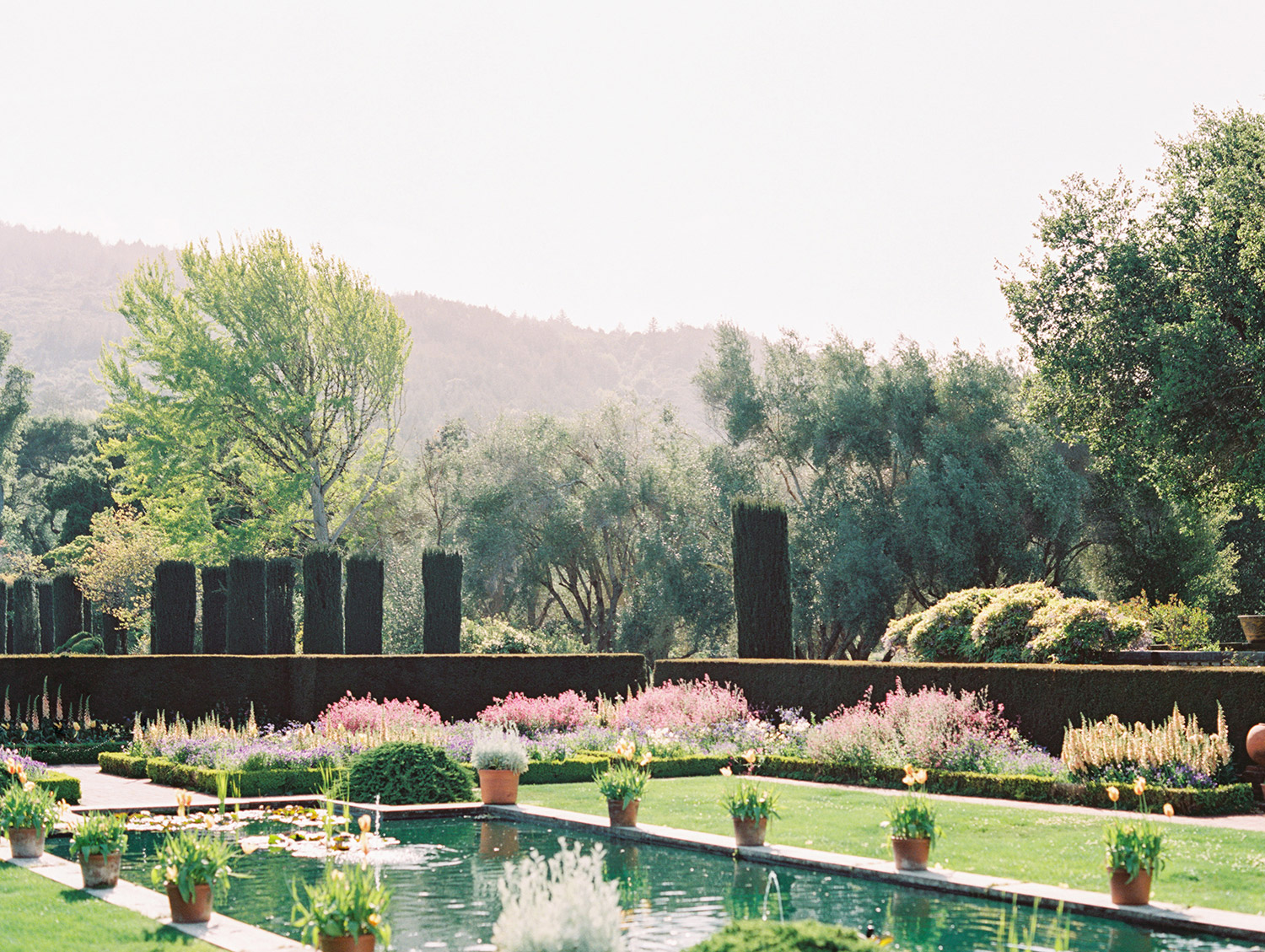 Filoli Gardens Wedding Photography Ashley Ludaescher